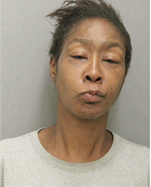RHONDA L HUGHES, Cook County, Illinois