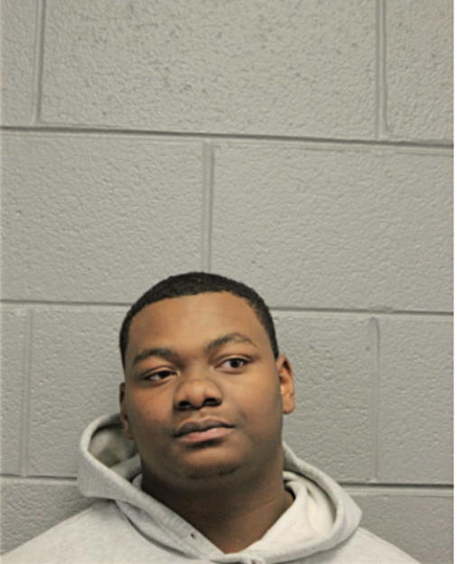 ERIC L JOHNSON, Cook County, Illinois