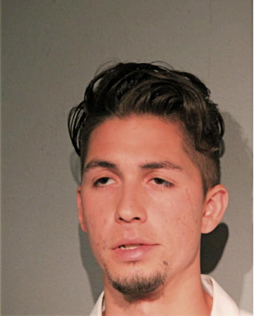 ANTHONY M FALCON, Cook County, Illinois