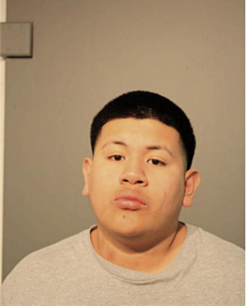 MIGUEL L MARTINEZ, Cook County, Illinois