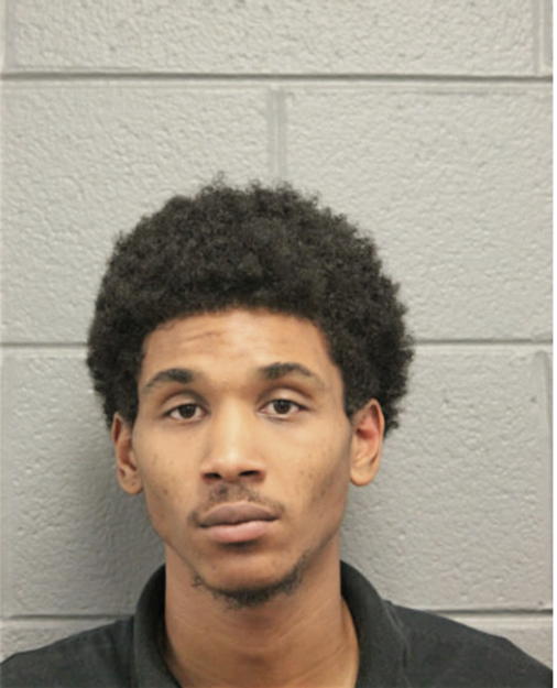 BRANDON N MCDONALD, Cook County, Illinois