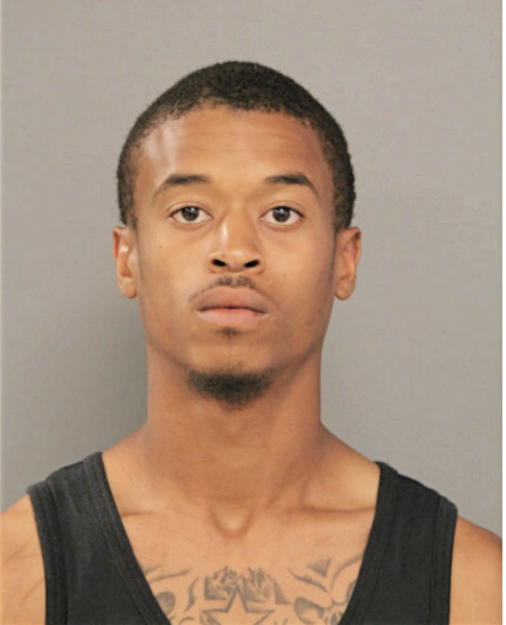 JAMES P ROBERTS, Cook County, Illinois