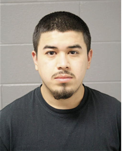 IGNACIO M RUIZ, Cook County, Illinois