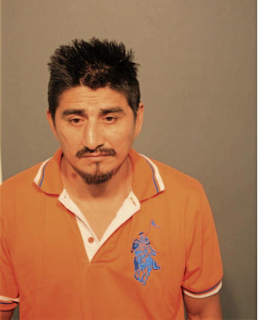 GUILLERMO SANCHEZ, Cook County, Illinois
