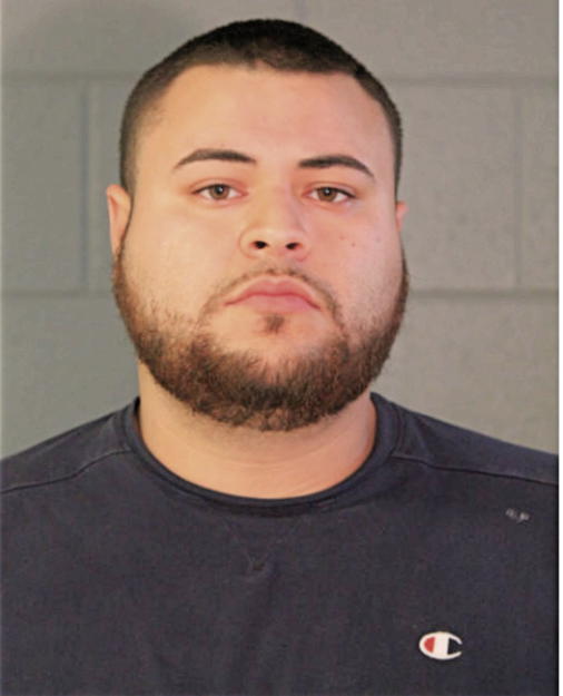 MICHAEL A SOTO, Cook County, Illinois