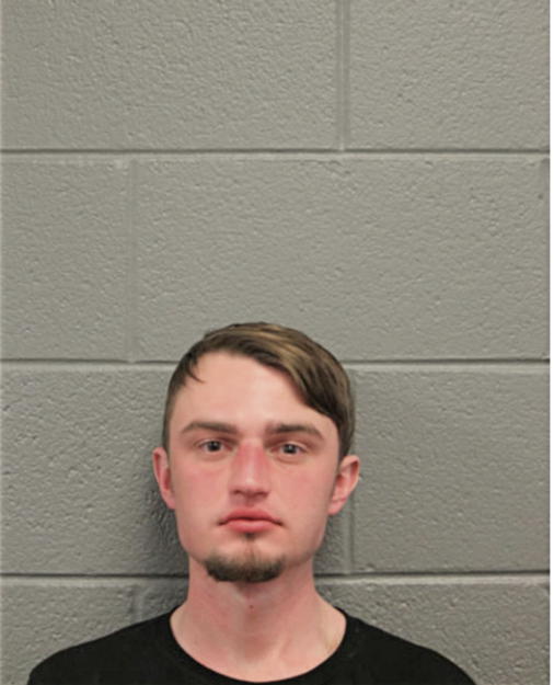 HEINZ M TEMPELMANN, Cook County, Illinois