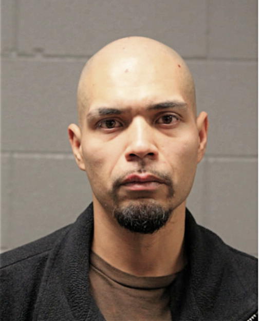 MICHAEL R TREVINO, Cook County, Illinois