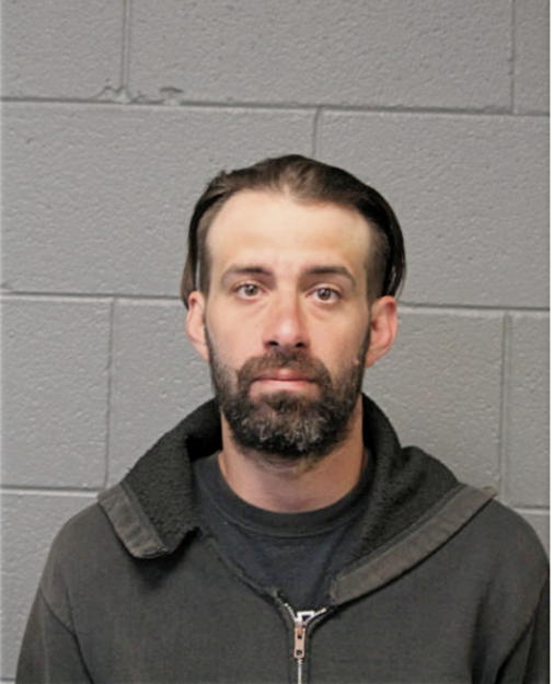 SHANE P ANDERSEN, Cook County, Illinois