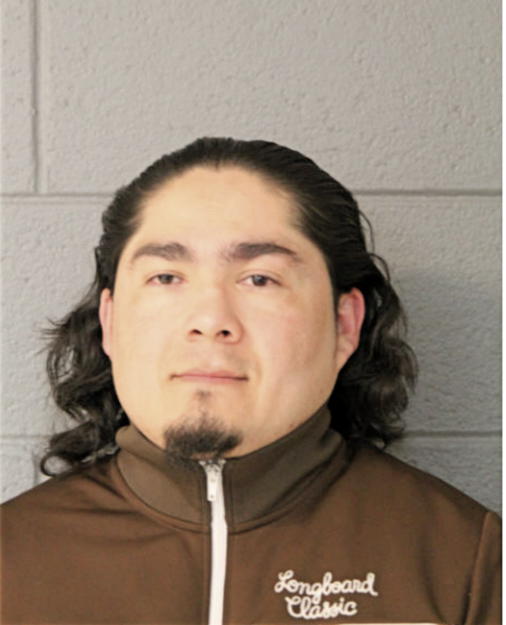 CHRISTIAN BRAVO, Cook County, Illinois