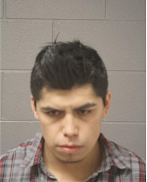 VICTOR CRUZ, Cook County, Illinois