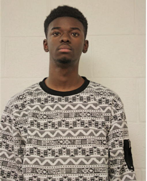 MATTHEW I GARRISON, Cook County, Illinois