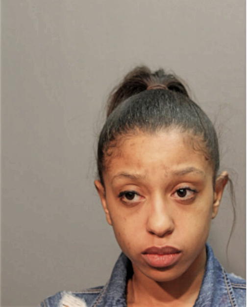BRITTANY P HAMBLET, Cook County, Illinois