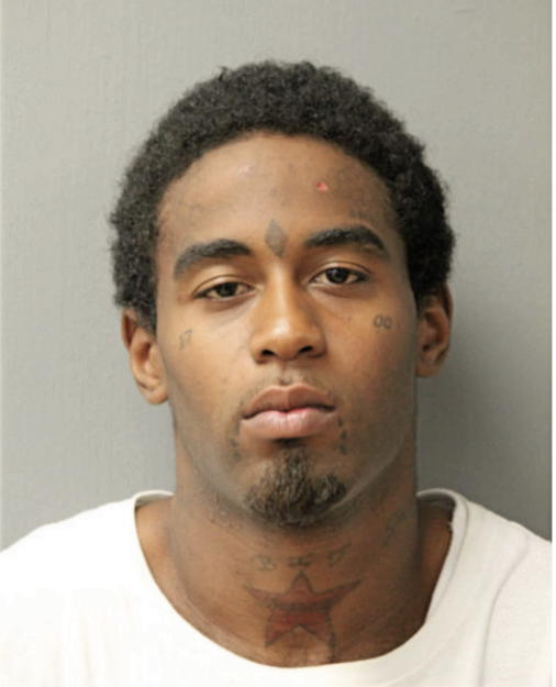 LESHANNON K HINES, Cook County, Illinois