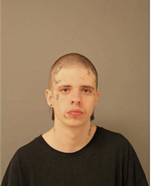 BRANDON HOYNES, Cook County, Illinois