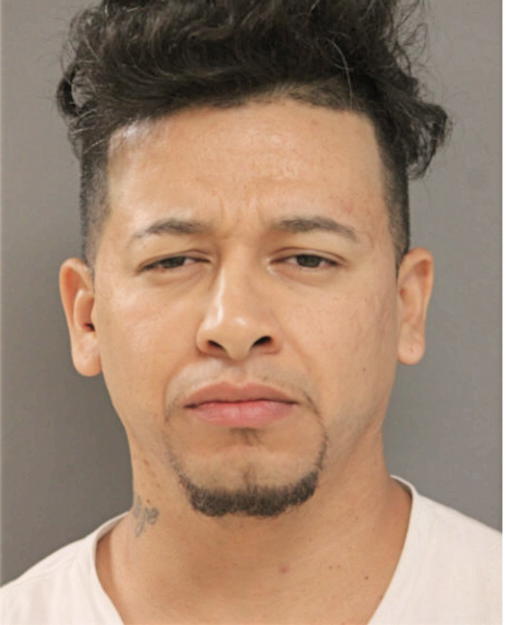 DAVID JACQUES, Cook County, Illinois
