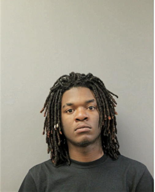 DERRICK J JONES, Cook County, Illinois