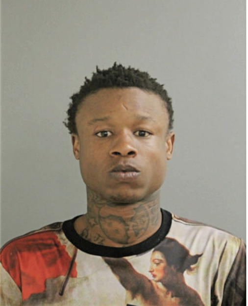 ROBERT N JONES, Cook County, Illinois