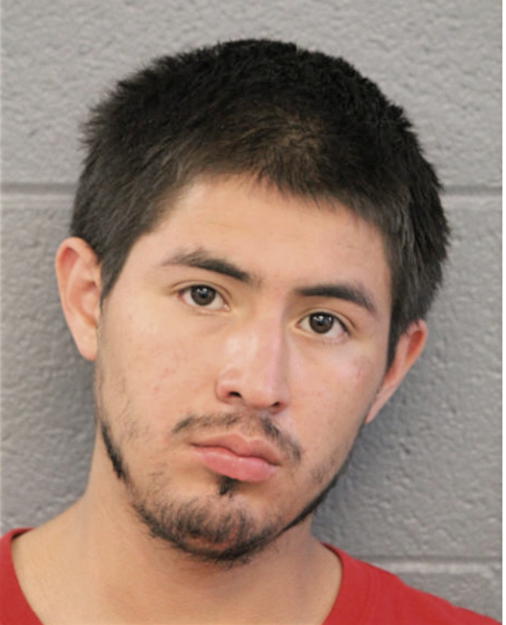 GENANAT MALDONADO, Cook County, Illinois