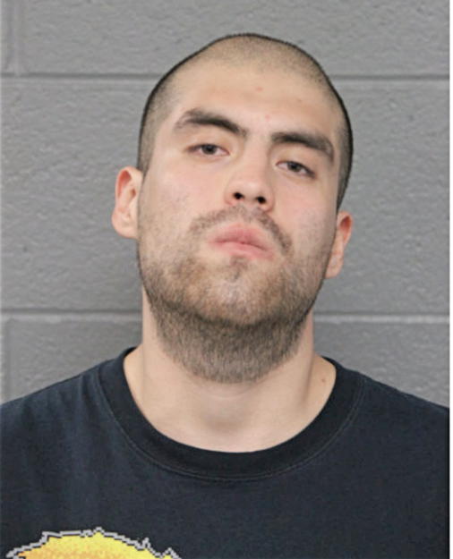 JOSE H MARTINEZ, Cook County, Illinois