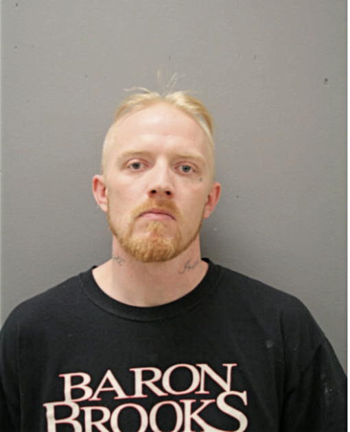 BRIAN J MEPHAM, Cook County, Illinois
