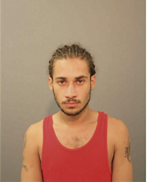 LUIS XAVIER MERCADO, Cook County, Illinois