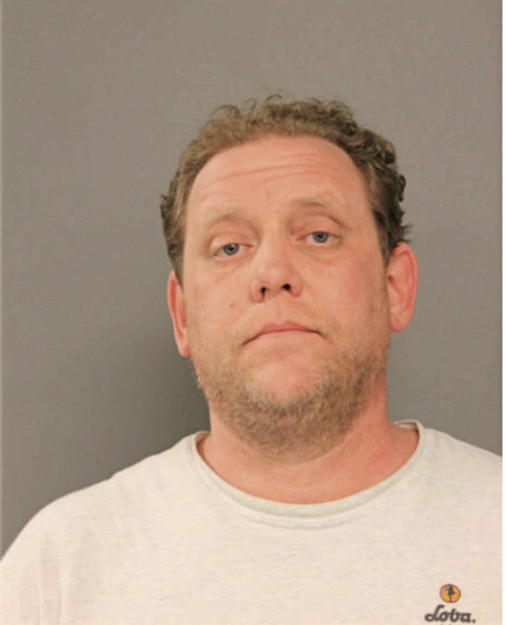 BRYAN J PAGE, Cook County, Illinois