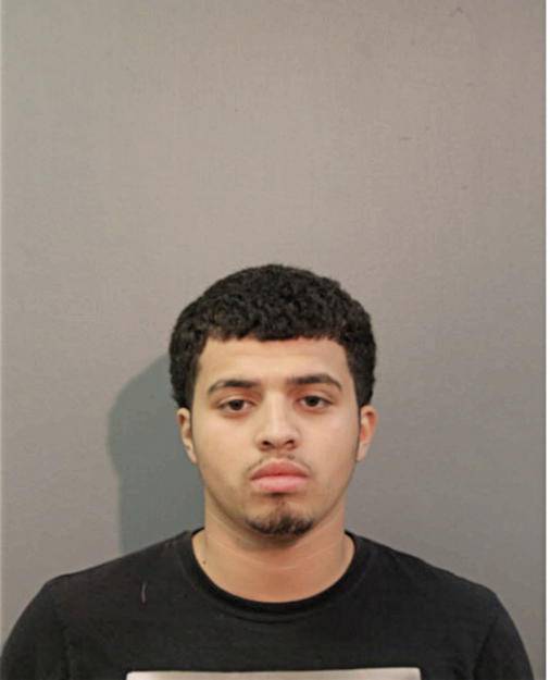 FERNANDO XAVIER PALOMINO, Cook County, Illinois