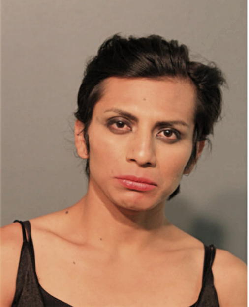 ALIZAI ZACARIAZ PEREZ, Cook County, Illinois