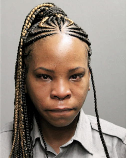 SHERICE N PORTERFIELD, Cook County, Illinois