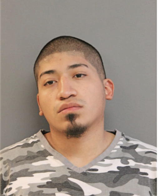 ARMANDO B RAMOS, Cook County, Illinois