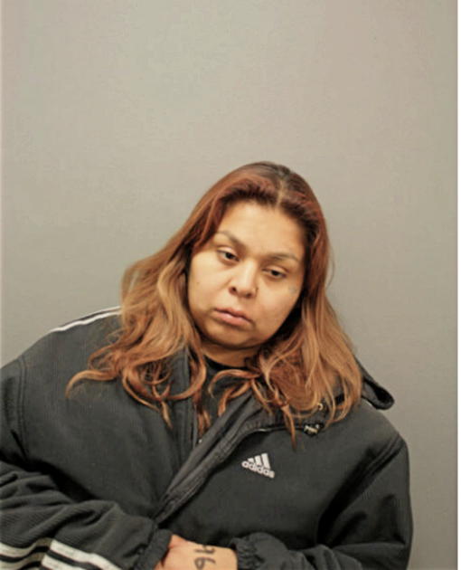 LYNN M ROCHA, Cook County, Illinois
