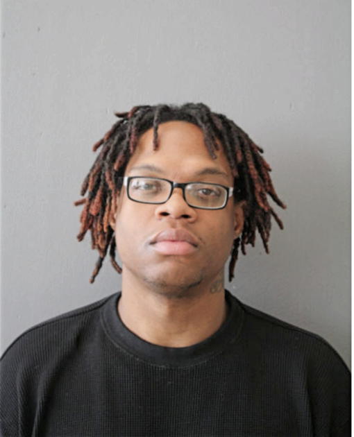 KENNETH W STANLEY, Cook County, Illinois