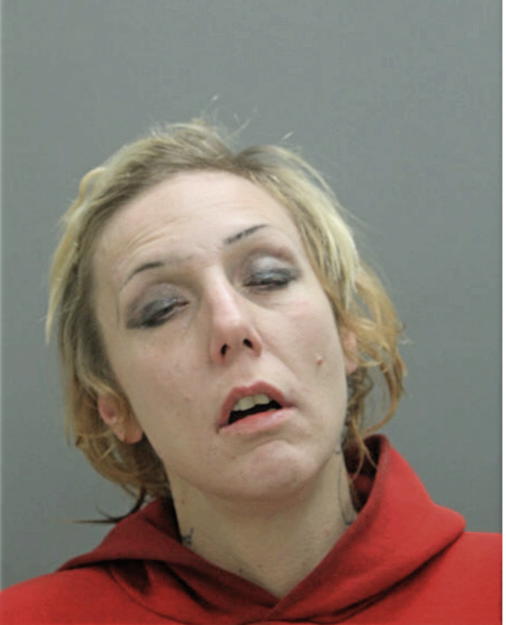 BRIANNA R VANDERWATER, Cook County, Illinois