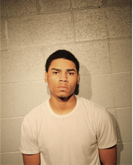 JOSHUA L VAUGHN, Cook County, Illinois