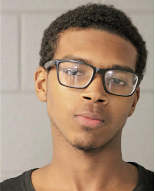 DARRON L ARMSTEAD, Cook County, Illinois