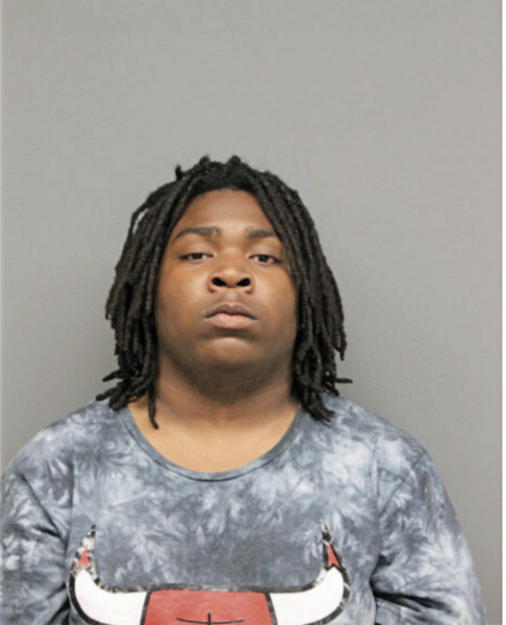 NICHOLAS L BAILEY, Cook County, Illinois