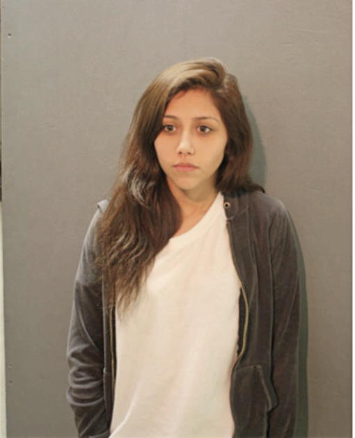 ARIEL V CASTILLO, Cook County, Illinois