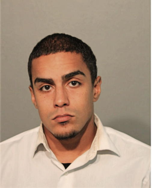 RAFAEL A DIAZ, Cook County, Illinois