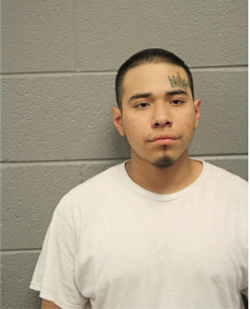 CHRISTIAN R FERREIRA, Cook County, Illinois