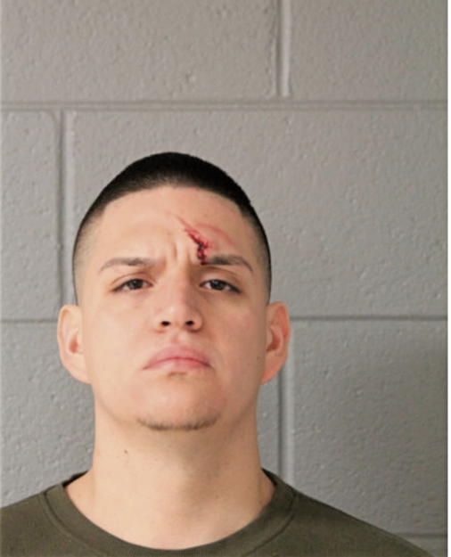 JORGE A GONZALEZ, Cook County, Illinois