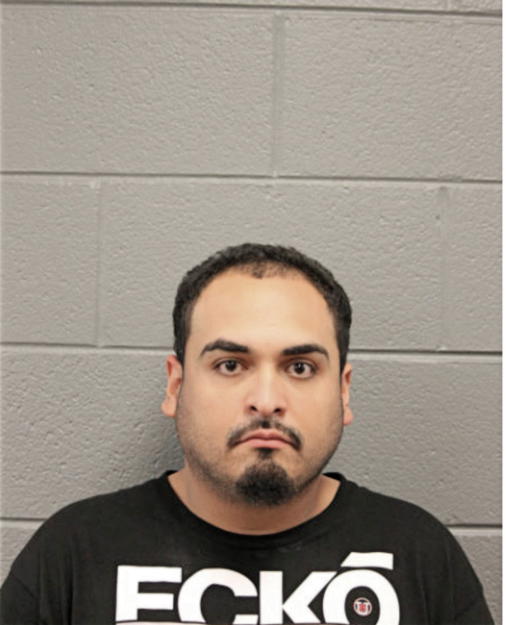 LEONARDO D MARTINEZ LOPEZ, Cook County, Illinois