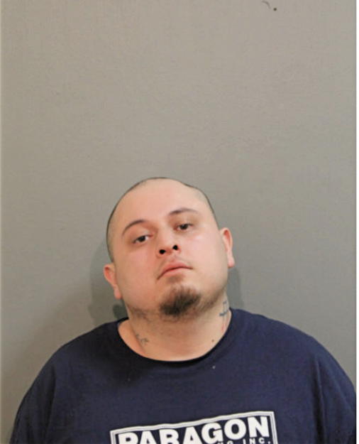 MICHAEL K MAUNA, Cook County, Illinois