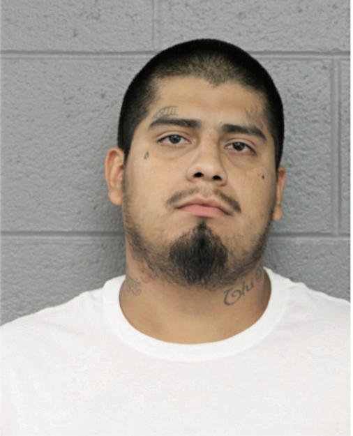 DOMINGO D MENDOZA, Cook County, Illinois