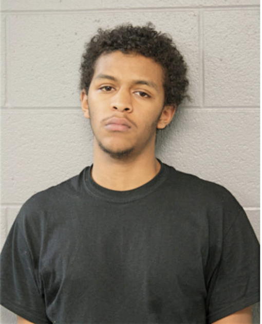 DAVID T NELSON, Cook County, Illinois