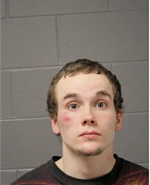 ROBERT J ROEH, Cook County, Illinois