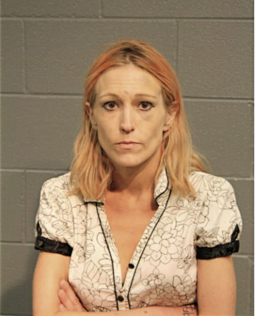 NICOLE L SNELSON, Cook County, Illinois