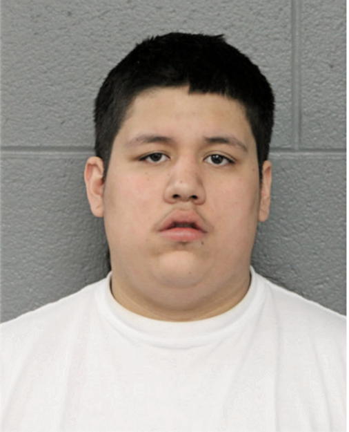PEDRO E TORRES, Cook County, Illinois