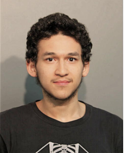 ERIL J VEGA, Cook County, Illinois
