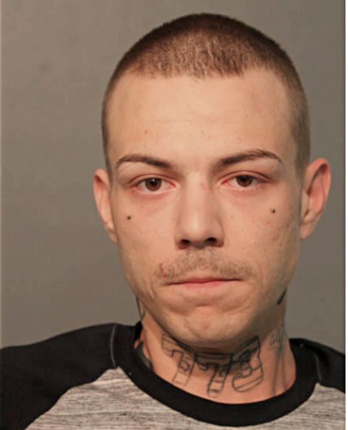 DANIEL A ZAMPINI, Cook County, Illinois