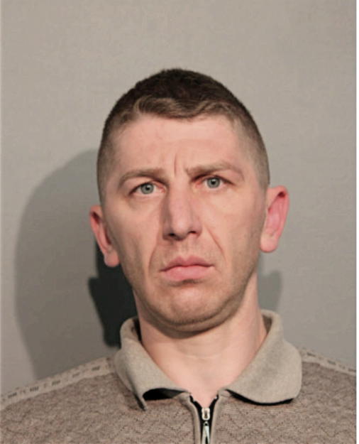 CRISTIAN I ALEXANDRESCU, Cook County, Illinois